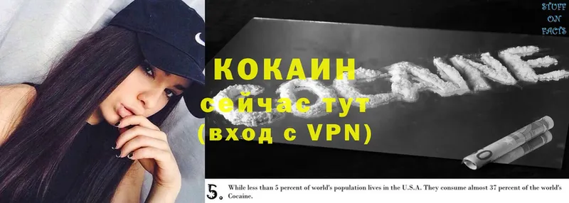 Cocaine Эквадор  Гремячинск 